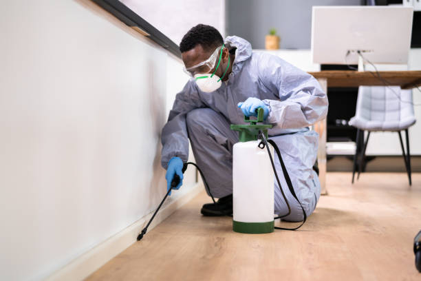 Best Pest Exclusion Services  in Stlman Valley, IL